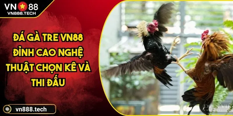 Đá Gà Tre VN88