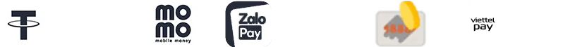 logo thanh toán